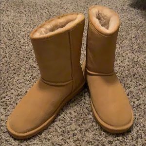 Bear paw Boots